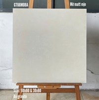 Gạch lát nền Ý Mỹ 60x60 mờ GT66M08A