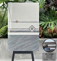 Gạch ốp tường Hà Thanh 30x60 bóng HTP3603