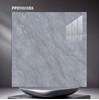 Gạch lát nền CMC 100x100 PPD11013S5