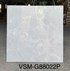 Gạch lát nền Việt Ý 80x80 bóng VSM-G88022P
