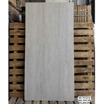 Gạch Việt Ý 60x120 mờ T61221S