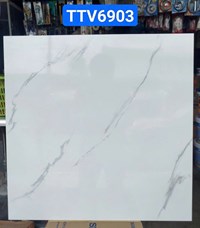 Gạch lát nền giá rẻ 60x60 bóng TTV6903