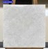 Gạch lát nền Viglacera 60x60 SH26-GP6603
