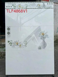 Gạch ốp tường Hà Thanh 40x80 TLP4868V1