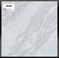 Gạch lát nền Tô Thành Phát 80x80 bóng T8101