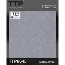 Gạch lát nền Tô Thành Phát 60x60 mờ TTP6645