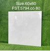 Gạch lát nền Tasa 60x60 bóng FST.5794