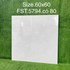 Gạch lát nền Tasa 60x60 bóng FST.5794