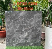 Gạch lát nền Tasa 80x80 8564