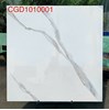 Gạch lát nền CMC 100x100 CGD1010001S2