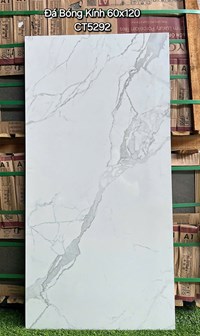 Gạch ốp lát Á Mỹ 60x120 CT5292