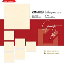 Gạch lát nền Việt Ý 80x80 bóng VSM-G88025P