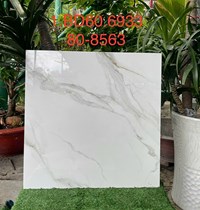 Gạch lát nền Tasa 60x60 6933