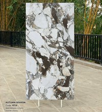 Gạch Tasa 90x180 bóng 9719