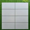 Gạch ốp tường Apodio 30x60 mờ A36NW302