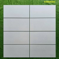 Gạch ốp tường Apodio 30x60 mờ A36NW302