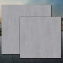 Gạch lát nền Tasa 120x120 9401