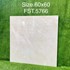 Gạch lát nền Tasa 60x60 bóng FST.5766