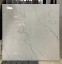 Gạch lát nền Viglacera 100x100 ST26 P101002