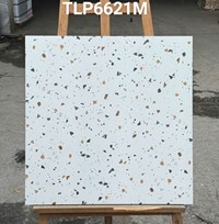 Gạch lát nền Granite Vitaly 60x60 mờ TLP6621M
