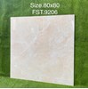 Gạch lát nền Tasa 80x80 bóng FST.9206
