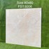 Gạch lát nền Tasa 80x80 bóng FST.9206