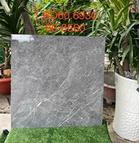 Gạch lát nền Tasa 60x60 6930