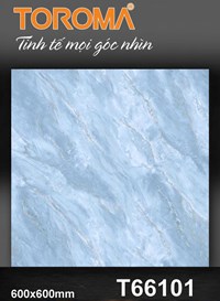 Gạch lát nền Tô Thành Phát 60x60 bóng T66101