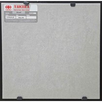 Gạch lát nền Taicera 30x30 G38Q02JF