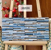 Gạch trang trí 3D Ấn Độ 30x60 3820N