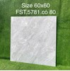 Gạch lát nền Tasa 60x60 bóng FST.5781