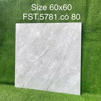 Gạch lát nền Tasa 60x60 bóng FST.5781