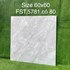 Gạch lát nền Tasa 60x60 bóng FST.5781