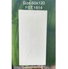 Gạch Tasa 60x120 bóng FST.1814