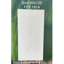 Gạch Tasa 60x120 bóng FST.1814