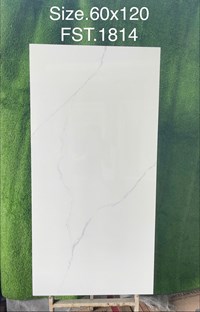 Gạch Tasa 60x120 bóng FST.1814