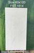 Gạch Tasa 60x120 bóng FST.1814