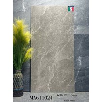 Gạch ốp lát Apodio 60x120 mờ MA611024
