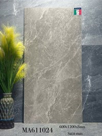 Gạch ốp lát Apodio 60x120 mờ MA611024