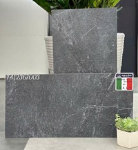 Đá đồng chất lát sân vườn Apodio 30x60 FA12367003