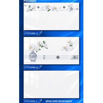 Gạch ốp tường Hà Thanh 40x80 bóng TTV4800