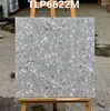Gạch lát nền Granite Vitaly 60x60 mờ TLP6622M