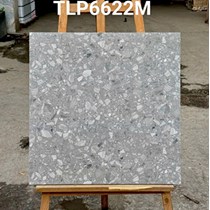 Gạch lát nền Granite Vitaly 60x60 mờ TLP6622M