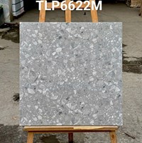 Gạch lát nền Granite Vitaly 60x60 mờ TLP6622M