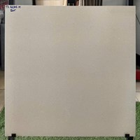 Gạch lát nền Vitaly 60x60 mờ TK66306M