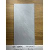 Gạch ốp lát Apodio 60x120 mờ M61MP606