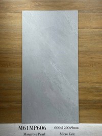 Gạch ốp lát Apodio 60x120 mờ M61MP606