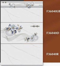 Gạch ốp tường Ý Mỹ 30x60 bóng F36040