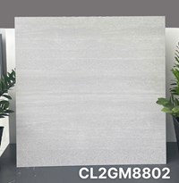 Gạch lát nền Viglacera 80x80 mờ CL2GM8802
