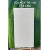 Gạch Tasa 60x120 mờ FST.1862